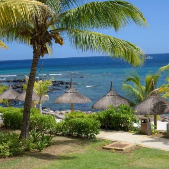 Anelia Resort & Spa 11