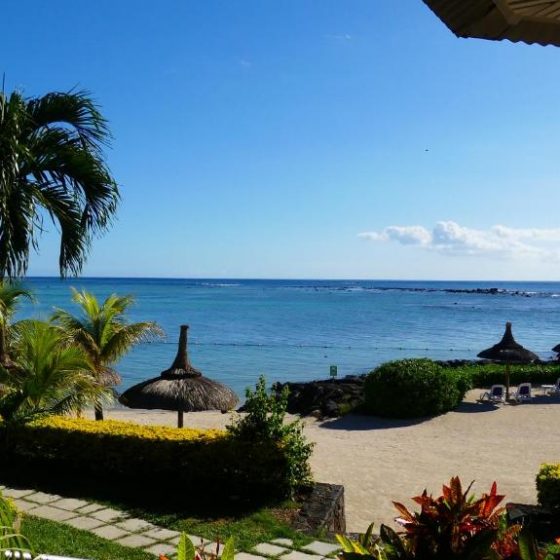 Anelia Resort & Spa 33