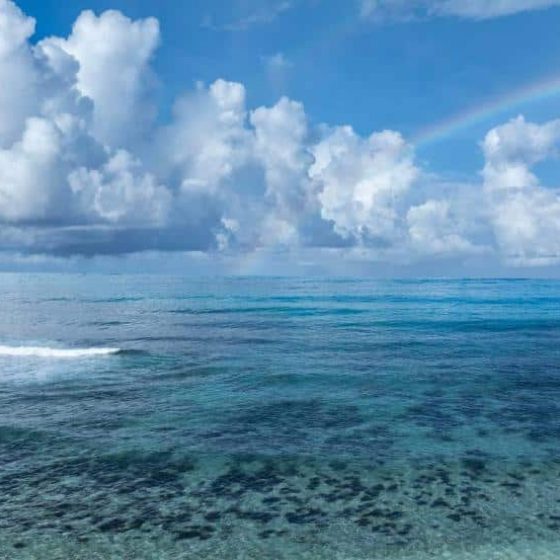 Avani+ Barbarons Seychelles 22