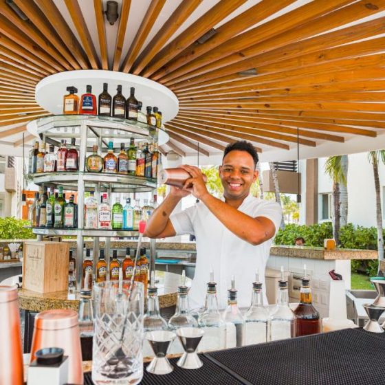 Bakour Punta Cana Suites 23