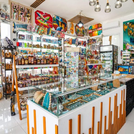 Bakour Punta Cana Suites 29