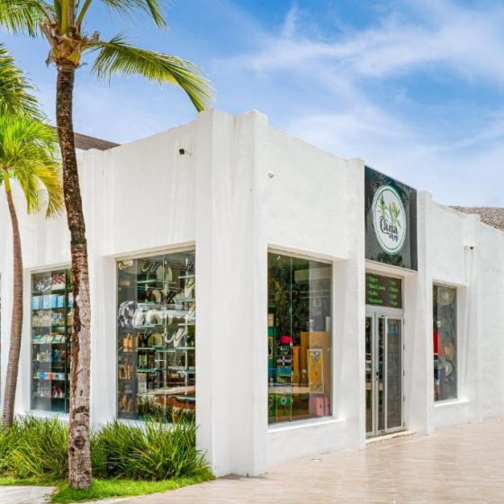 Bakour Punta Cana Suites 30