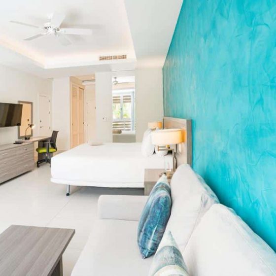 Bakour Punta Cana Suites 38