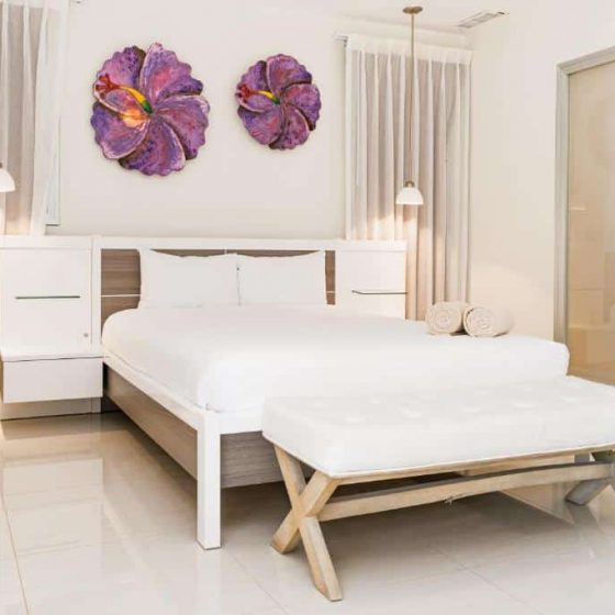 Bakour Punta Cana Suites 47