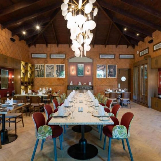 Caribe Deluxe Princess 31