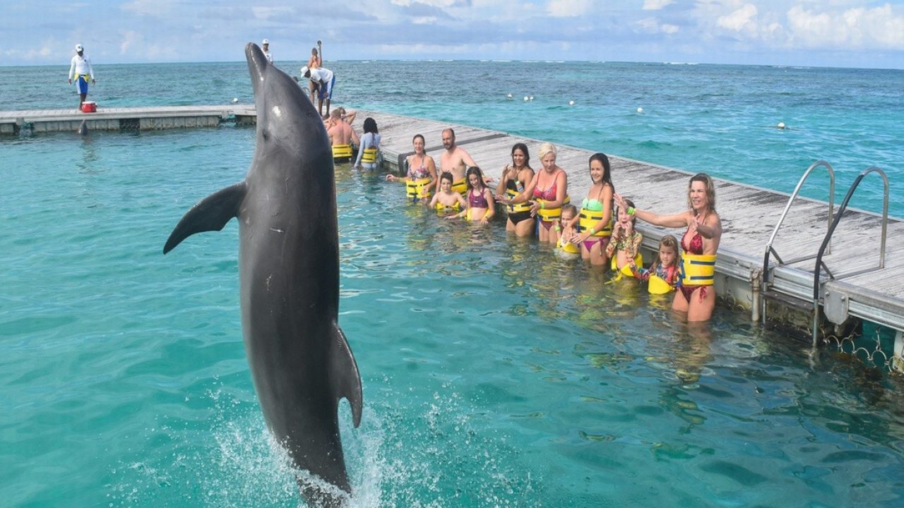 Dolphin Island Dominican Republic