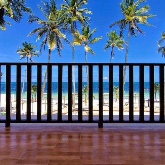 Dream Of Zanzibar 1