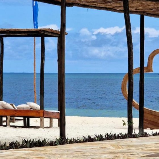 Dream Of Zanzibar 11