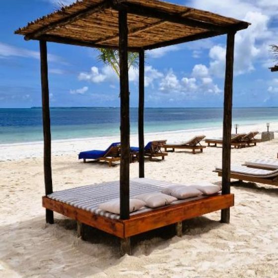 Dream Of Zanzibar 12
