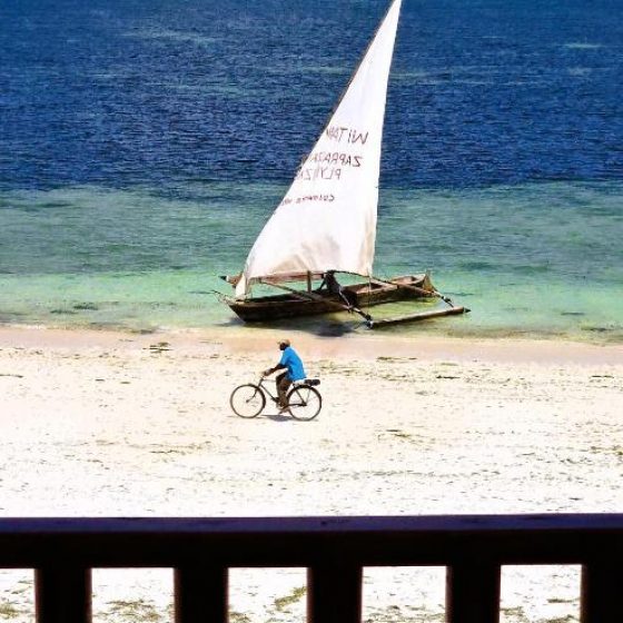 Dream Of Zanzibar 14