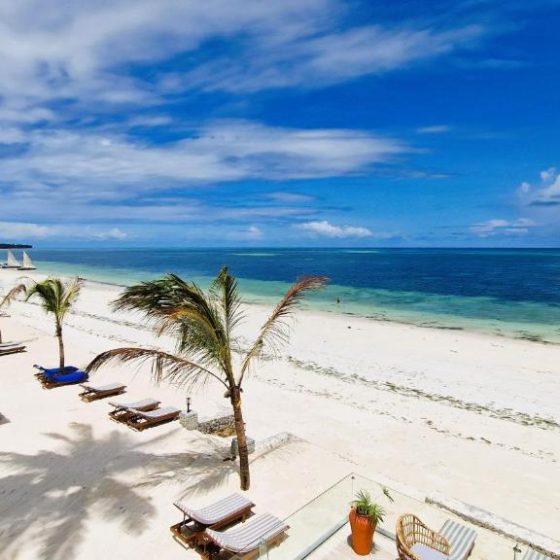 Dream Of Zanzibar 19