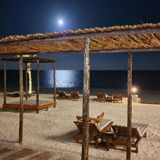 Dream Of Zanzibar 35