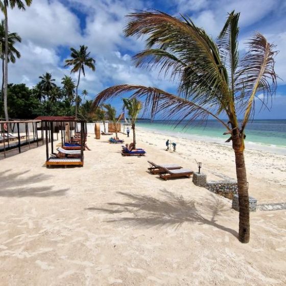 Dream Of Zanzibar 39