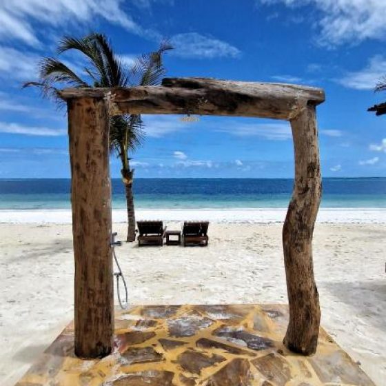 Dream Of Zanzibar 5