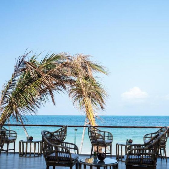 Dream Of Zanzibar 57