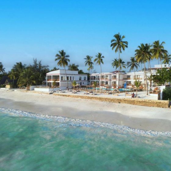 Dream Of Zanzibar 90