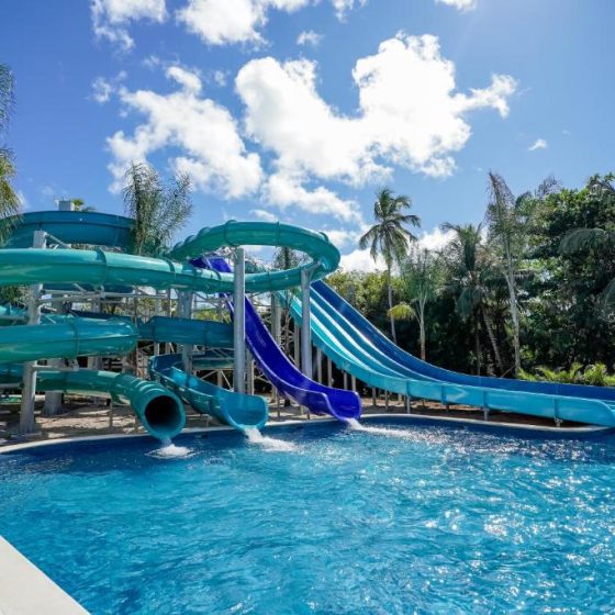 Dreams Royal Beach Punta Cana 40