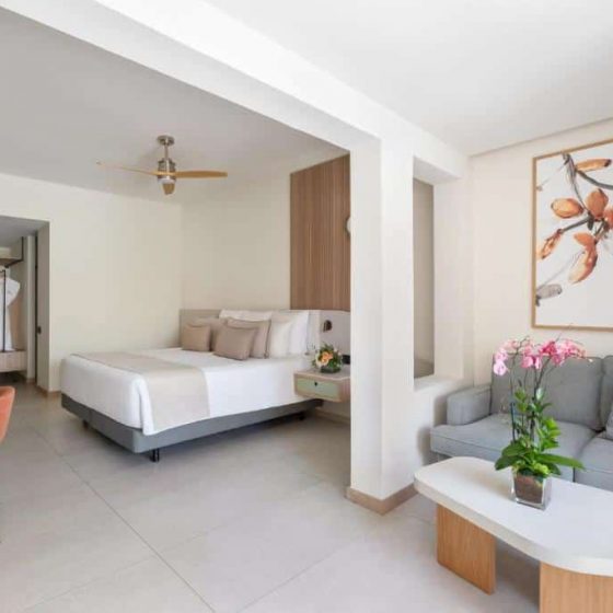 Dreams Royal Beach Punta Cana 48