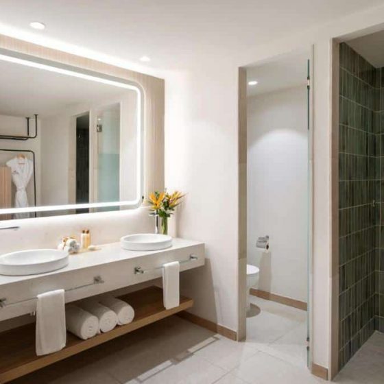 Dreams Royal Beach Punta Cana 56