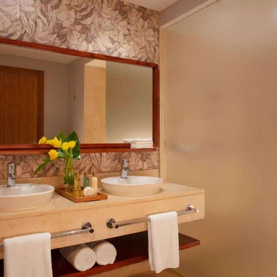 Dreams Royal Beach Punta Cana 58