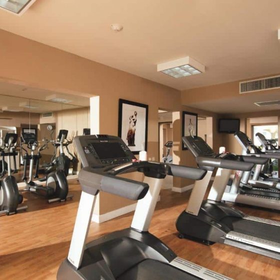 Dreams Royal Beach Punta Cana 6