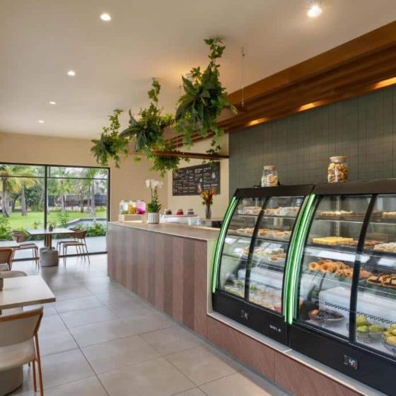 Dreams Royal Beach Punta Cana 66