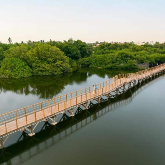 Dreams Royal Beach Punta Cana 69