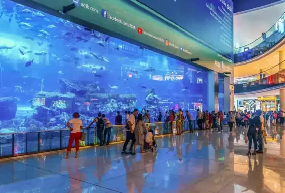 Dubai mall