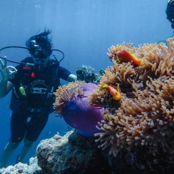 Furaveri Maldives 18