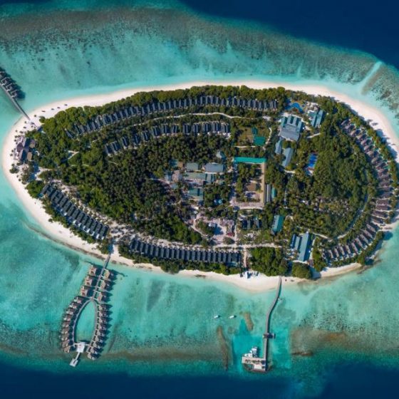 Furaveri Maldives 50