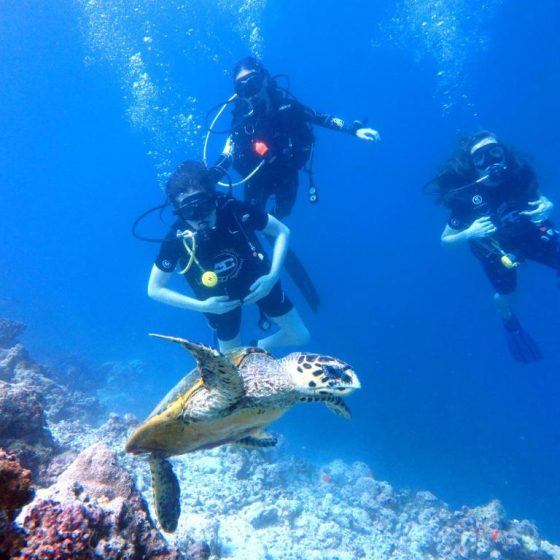 Furaveri Maldives 53