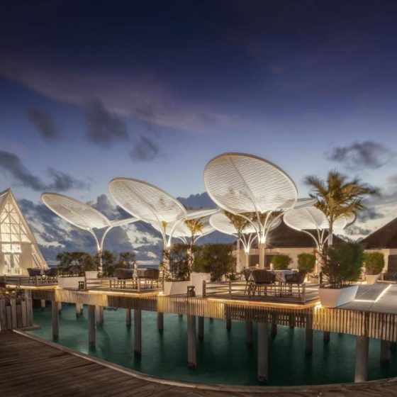 Furaveri Maldives 60