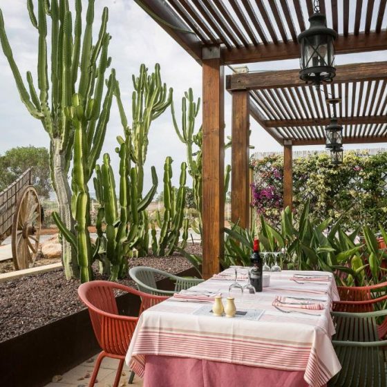 Grand Palladium White Island Resort & Spa 17