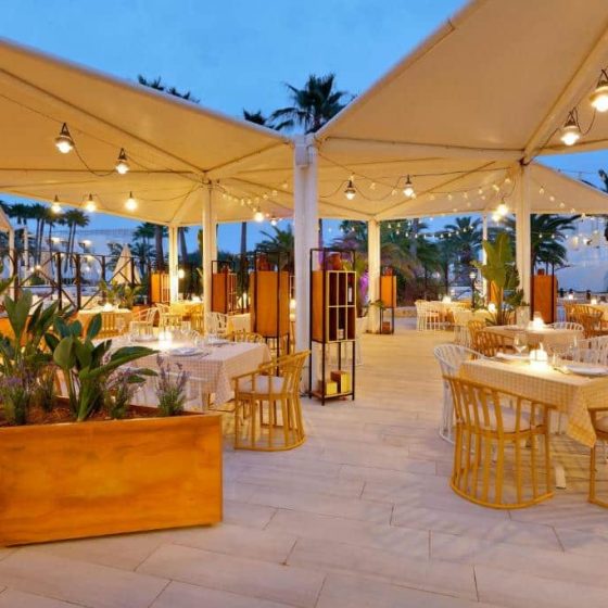 Grand Palladium White Island Resort & Spa 68