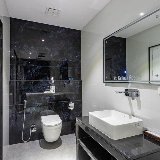 Hotel Mount Kailash Resort 1