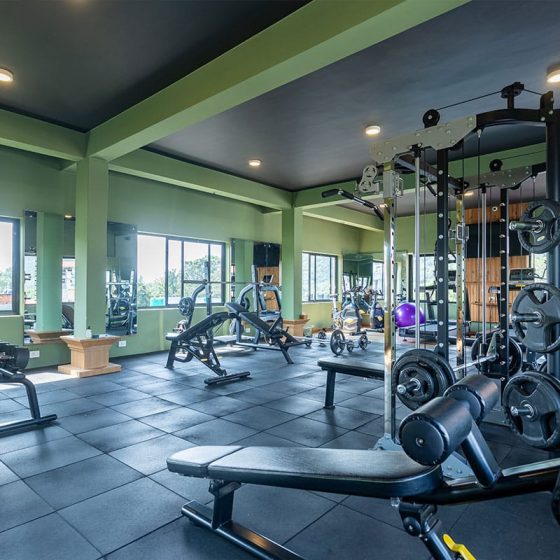 Hotel Mount Kailash Resort 5