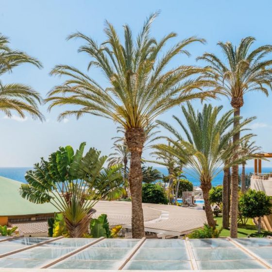 Iberostar Waves Playa Gaviotas 65