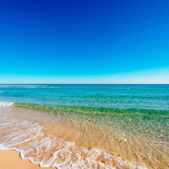 Iberostar Waves Playa Gaviotas 8