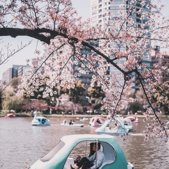 JAPONIA 17