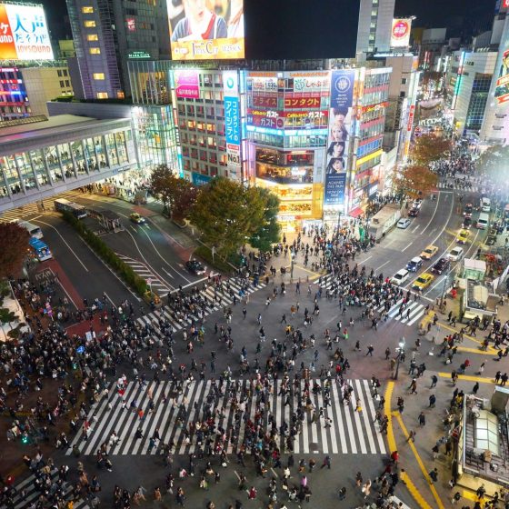 JAPONIA 25