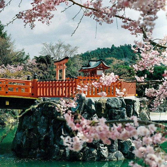 JAPONIA 26