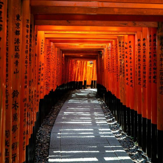 JAPONIA 4