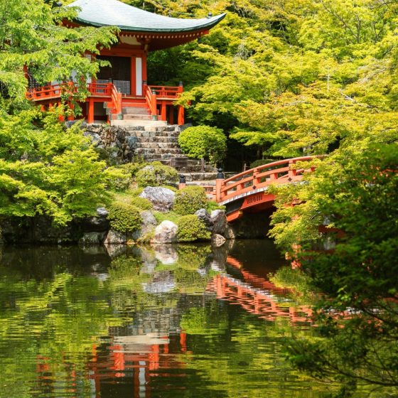 JAPONIA 5