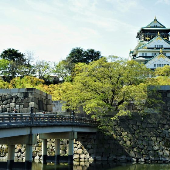 JAPONIA 7