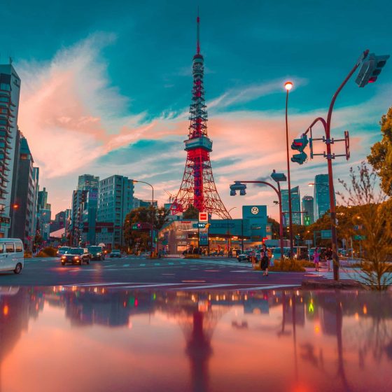 JAPONIA 8
