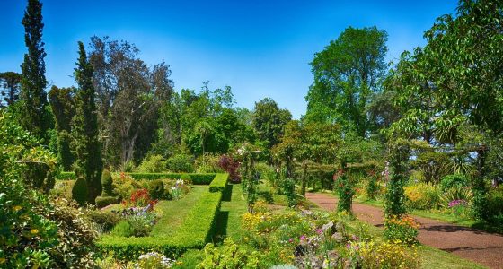 Jardins do Palheiro