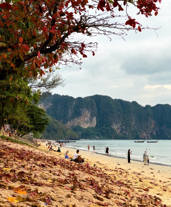 Krabi 4