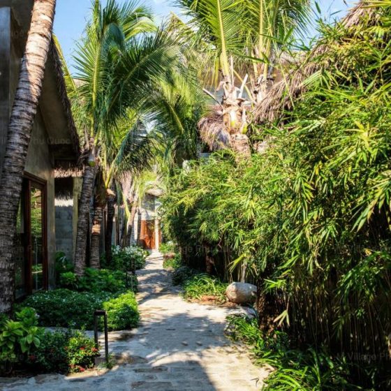 M Village Phu Quoc 25