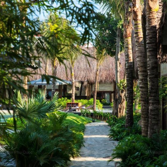 M Village Phu Quoc 47