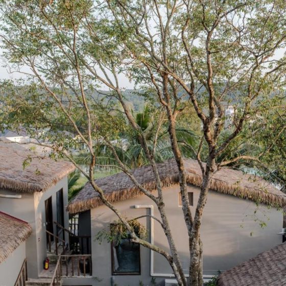 M Village Phu Quoc 80